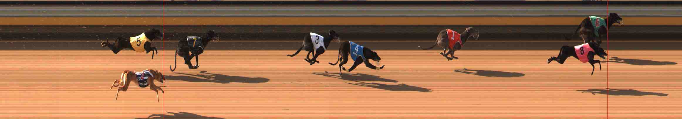 Photo finish for Warrnambool Race 4