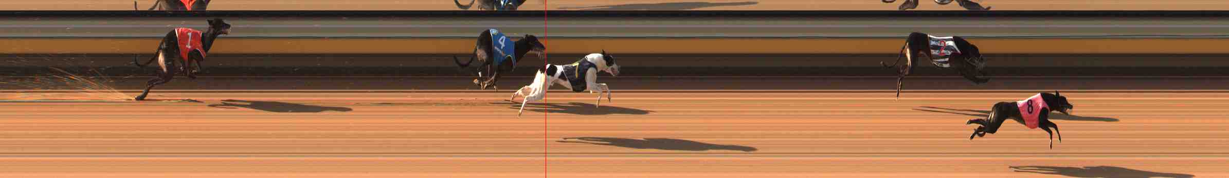 Photo finish for Warrnambool Race 5
