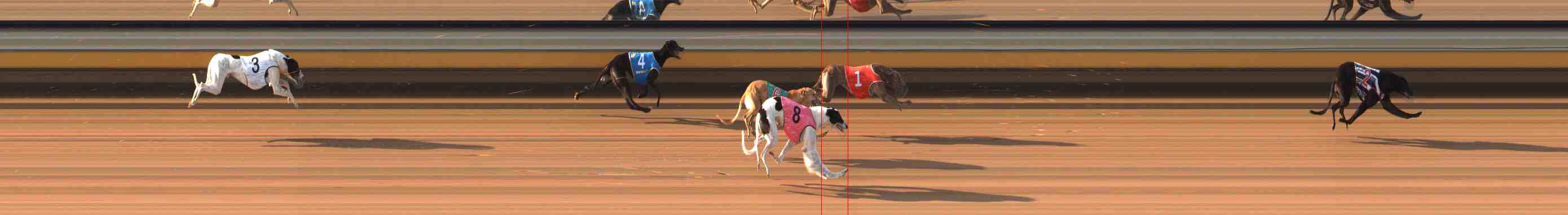 Photo finish for Warrnambool Race 6