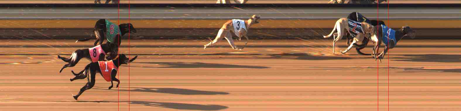 Photo finish for Warrnambool Race 7