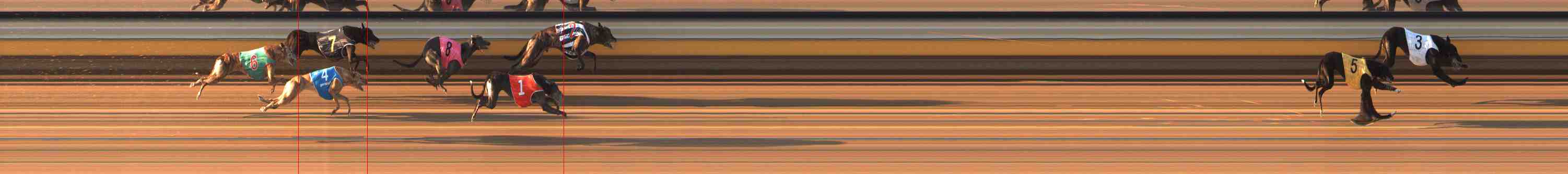 Photo finish for Warrnambool Race 8
