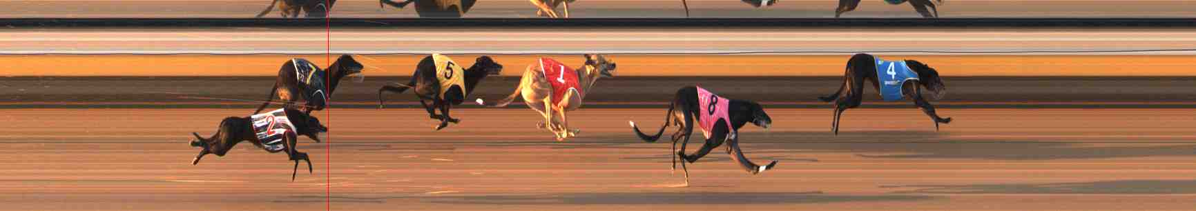 Photo finish for Warrnambool Race 9