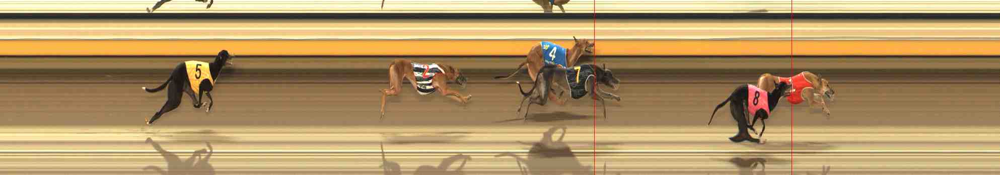 Photo finish for Warrnambool Race 10