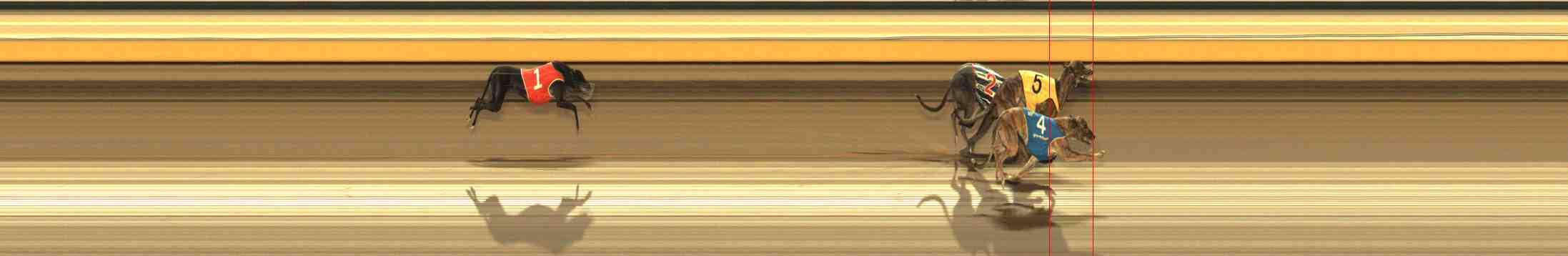 Photo finish for Warrnambool Race 11