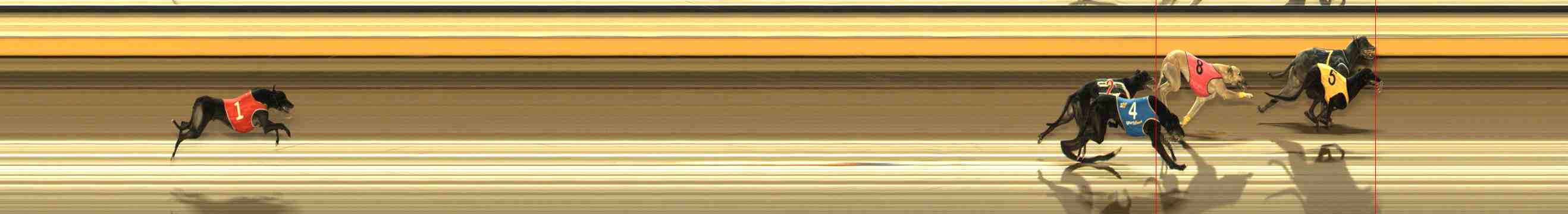 Photo finish for Warrnambool Race 12