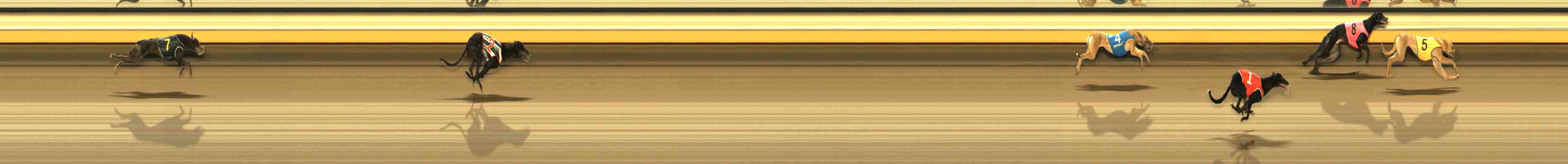 Photo finish for Warrnambool Race 1
