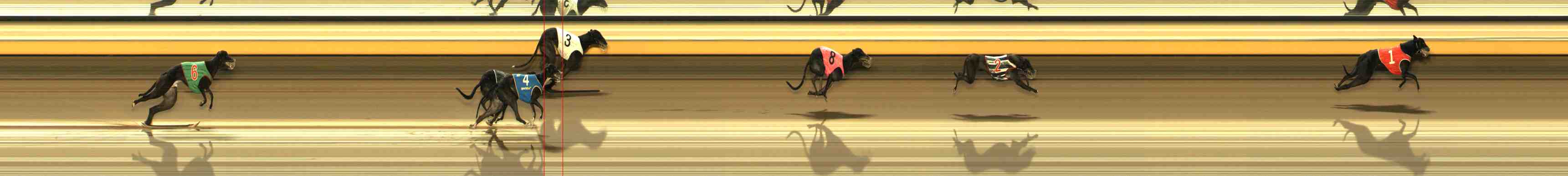 Photo finish for Warrnambool Race 2