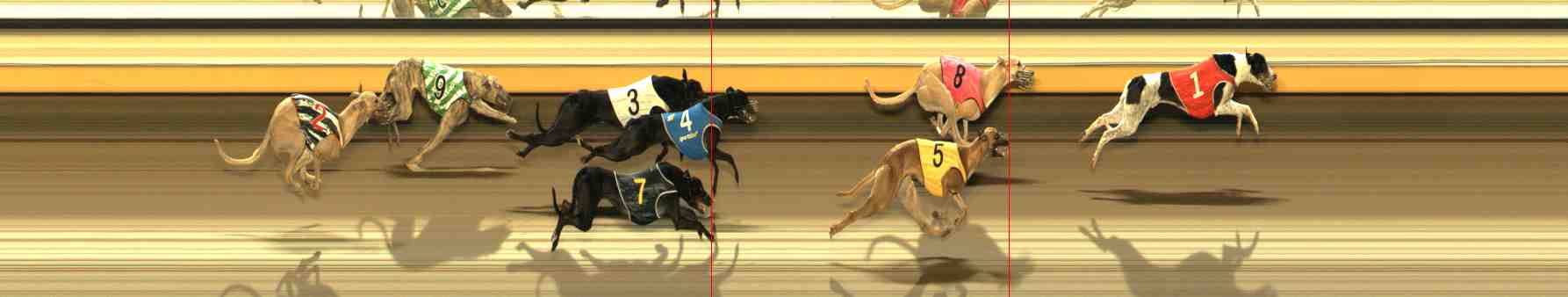 Photo finish for Warrnambool Race 3