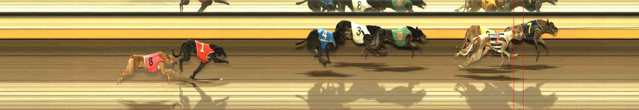 Photo finish for Warrnambool Race 4