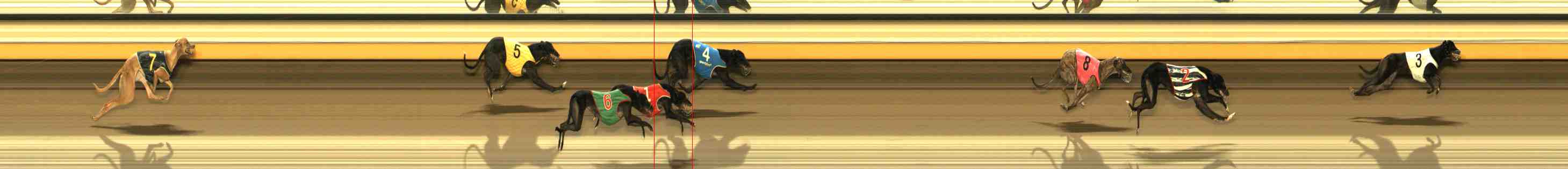 Photo finish for Warrnambool Race 7
