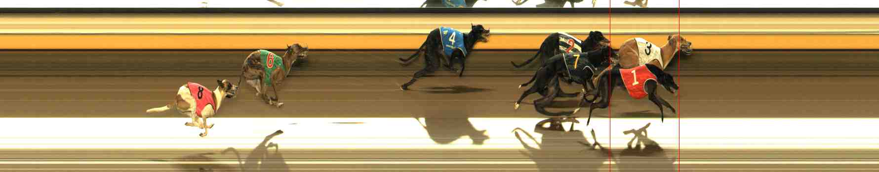 Photo finish for Warrnambool Race 8