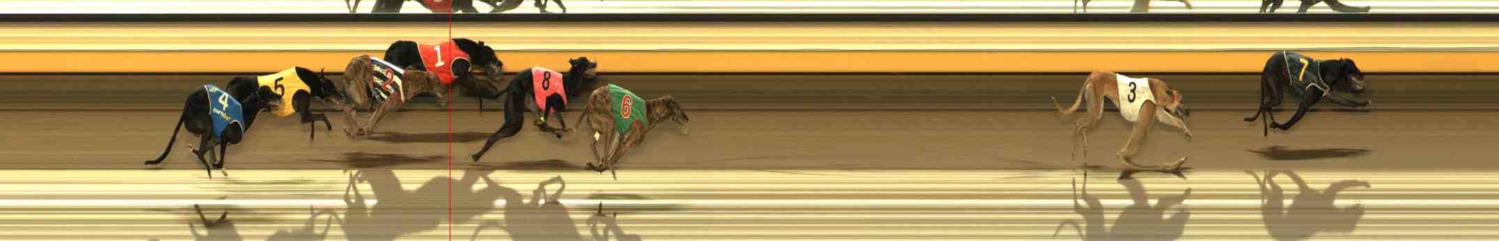 Photo finish for Warrnambool Race 9