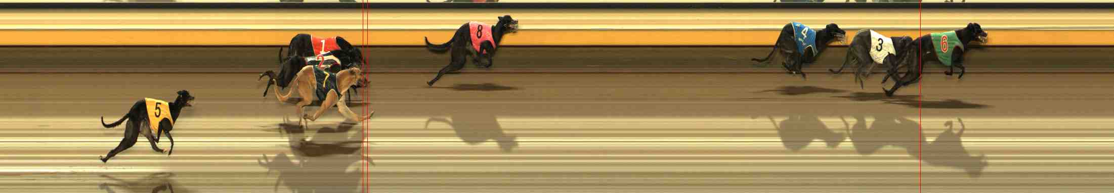 Photo finish for Warrnambool Race 10
