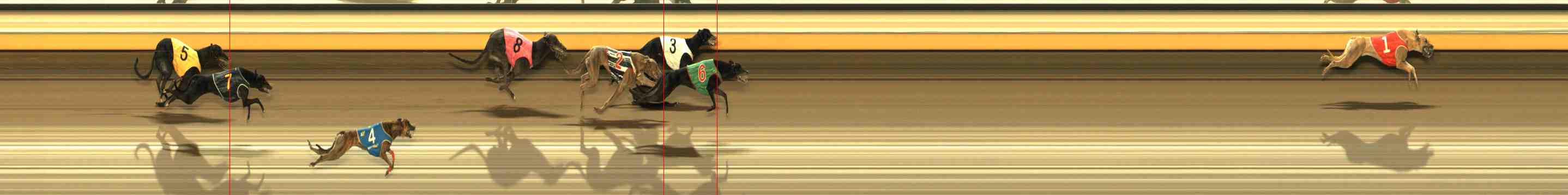 Photo finish for Warrnambool Race 12
