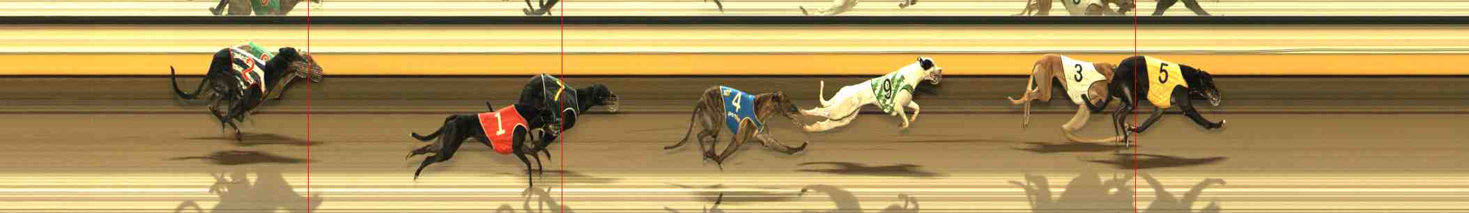 Photo finish for Warrnambool Race 13