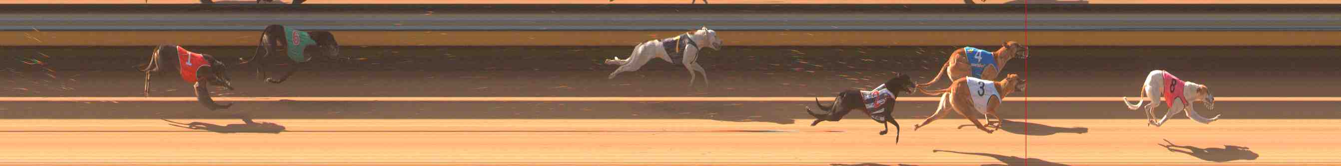 Race result finish photo