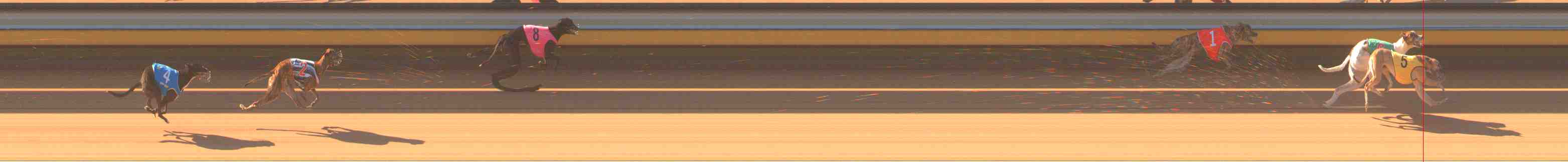 Photo finish for Warrnambool Race 2