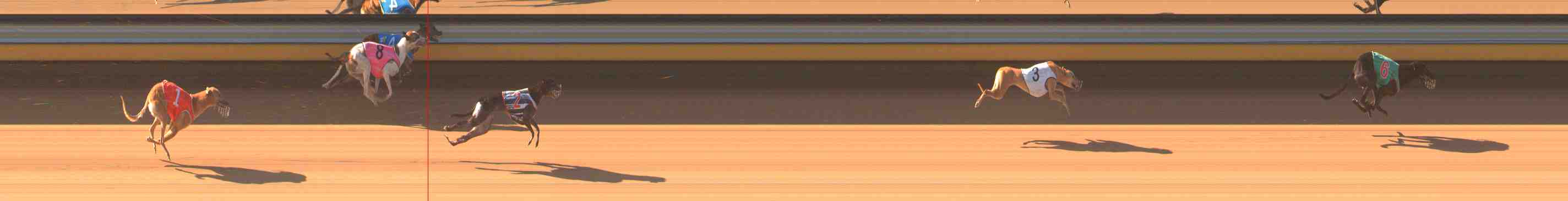 Photo finish for Warrnambool Race 3