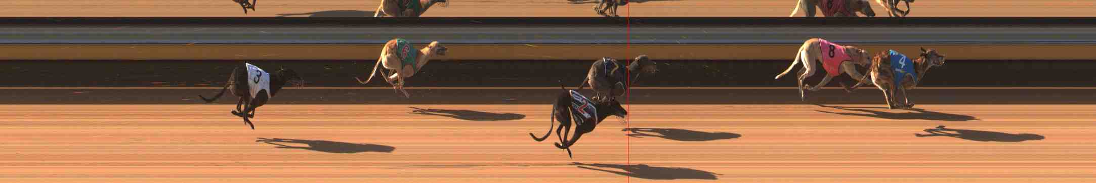 Photo finish for Warrnambool Race 4