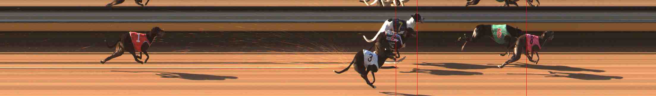 Photo finish for Warrnambool Race 5