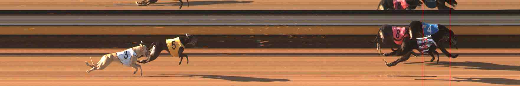 Photo finish for Warrnambool Race 6