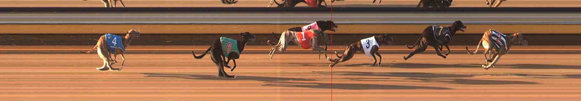 Photo finish for Warrnambool Race 7