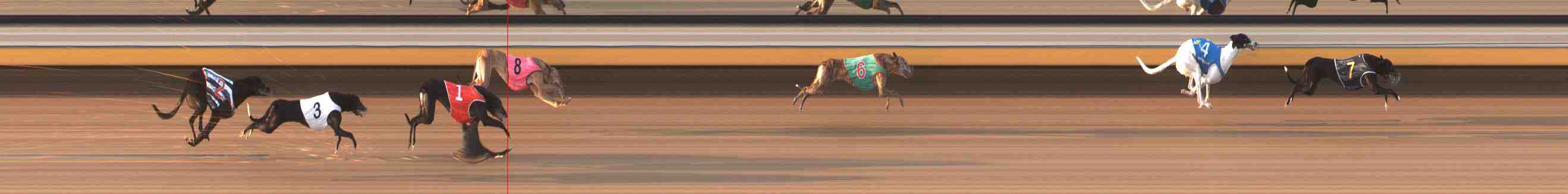 Photo finish for Warrnambool Race 8