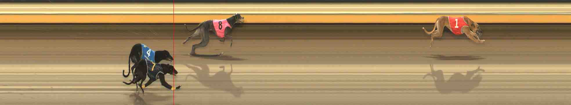 Photo finish for Warrnambool Race 9