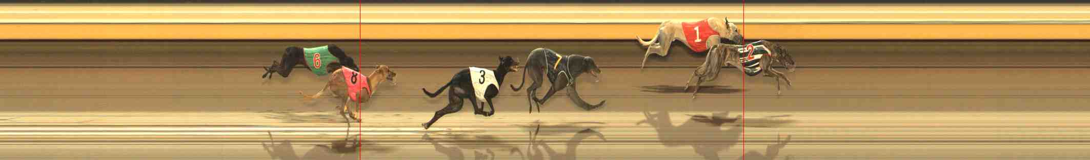 Photo finish for Warrnambool Race 10