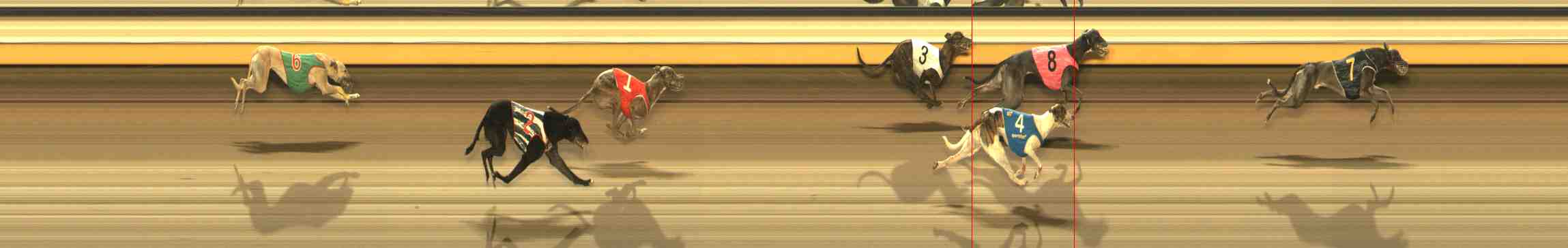 Photo finish for Warrnambool Race 11
