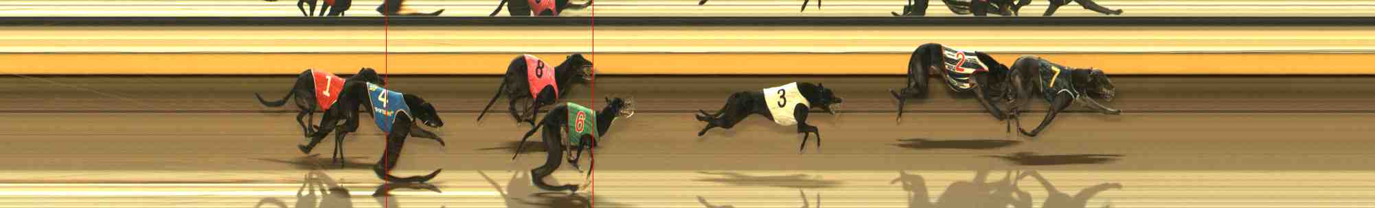 Photo finish for Warrnambool Race 12