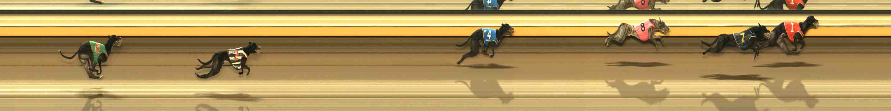 Photo finish for Warrnambool Race 13