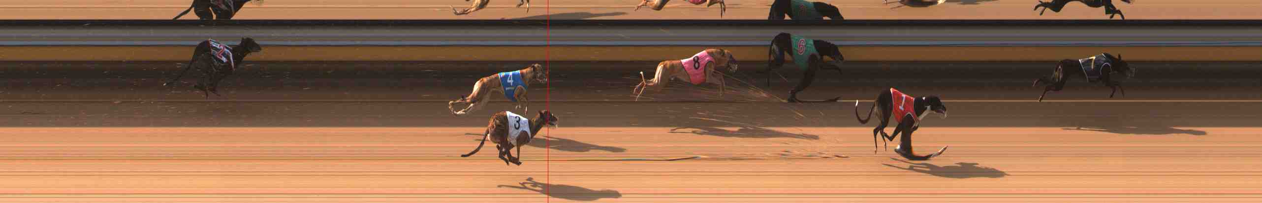 Race result finish photo