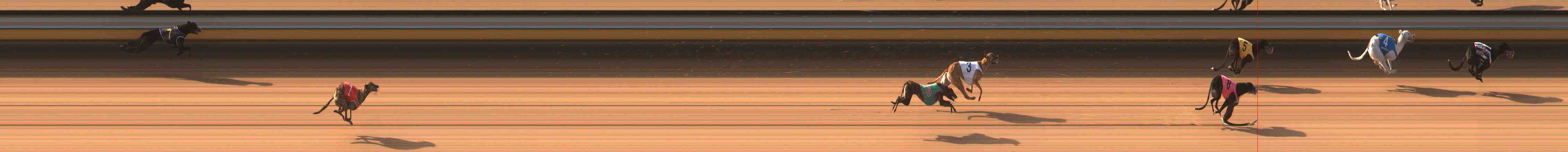 Photo finish for Warrnambool Race 2