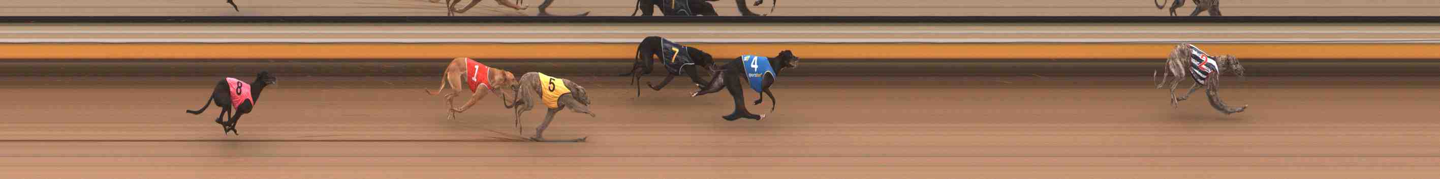 Photo finish for Warrnambool Race 3