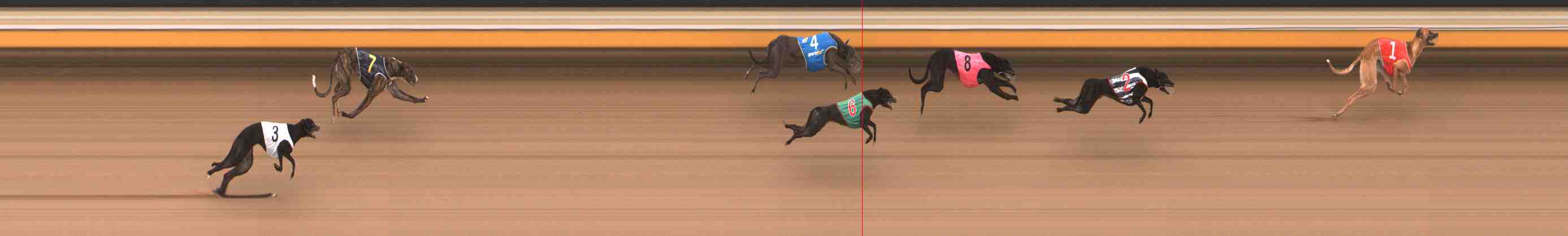 Photo finish for Warrnambool Race 4