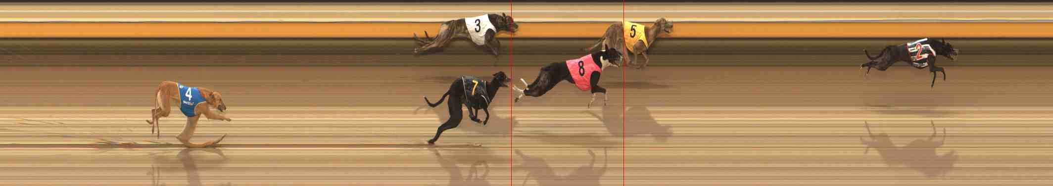 Photo finish for Warrnambool Race 5