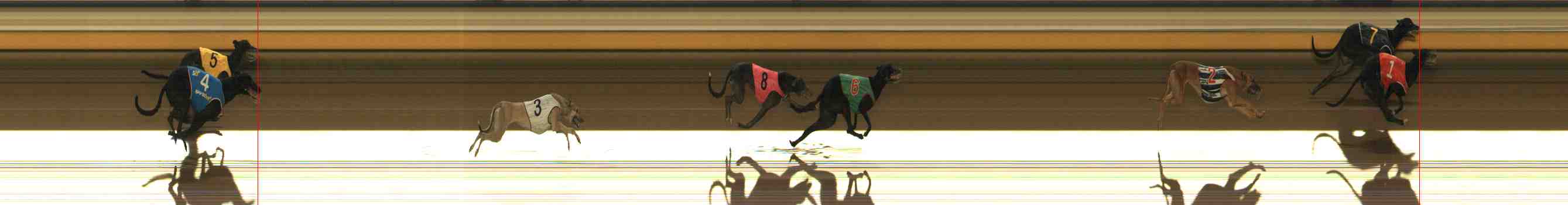 Photo finish for Warrnambool Race 6