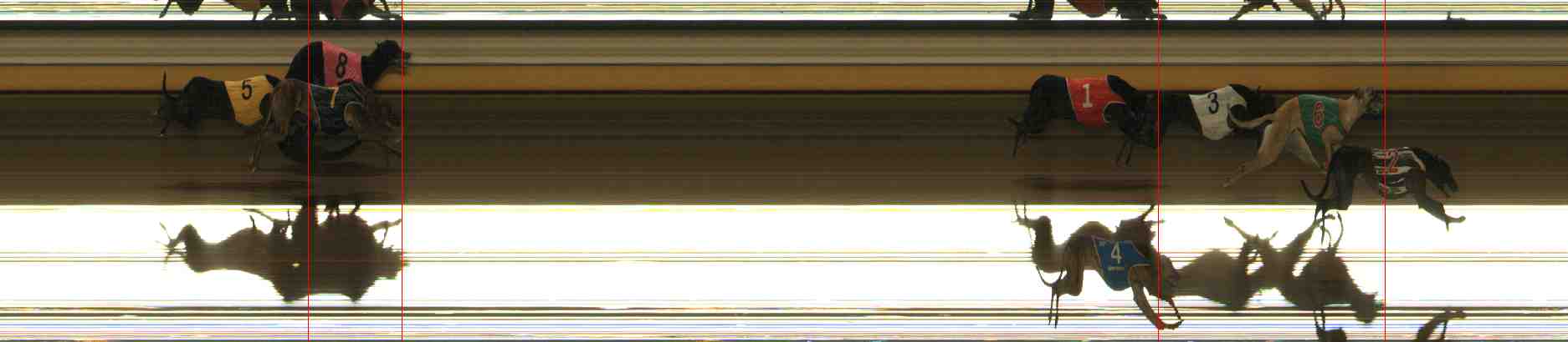Photo finish for Warrnambool Race 7