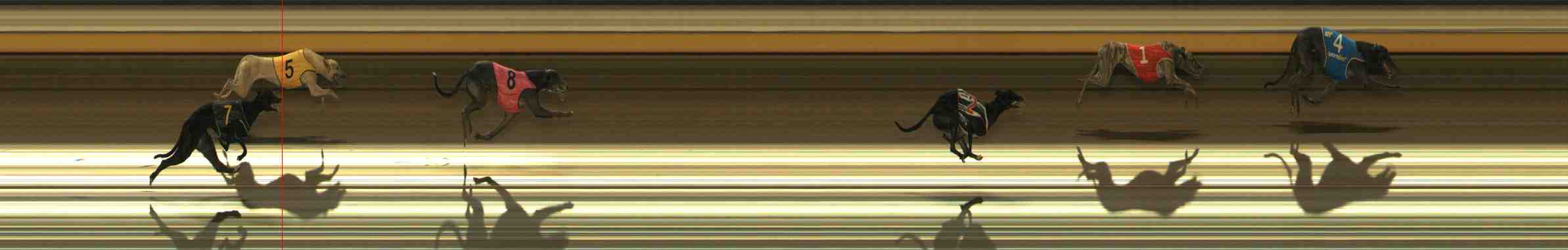 Photo finish for Warrnambool Race 9