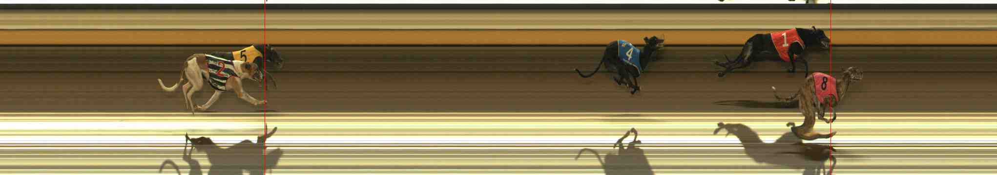 Photo finish for Warrnambool Race 10
