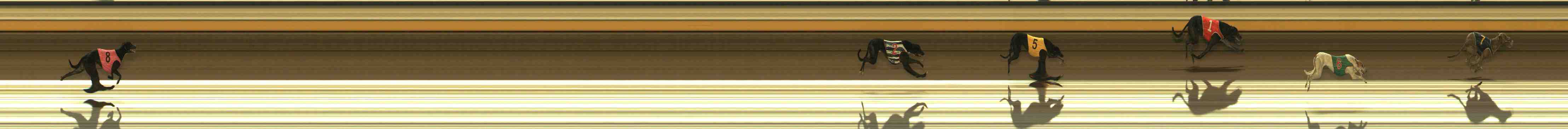 Photo finish for Warrnambool Race 11