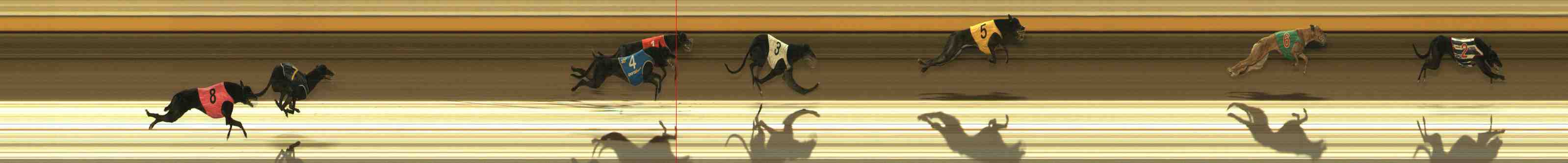 Photo finish for Warrnambool Race 12