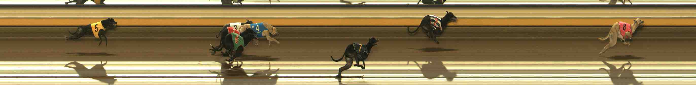 Photo finish for Warrnambool Race 13