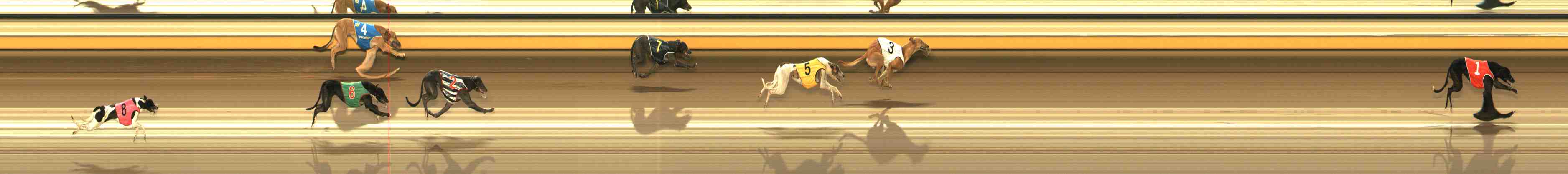 Race result finish photo