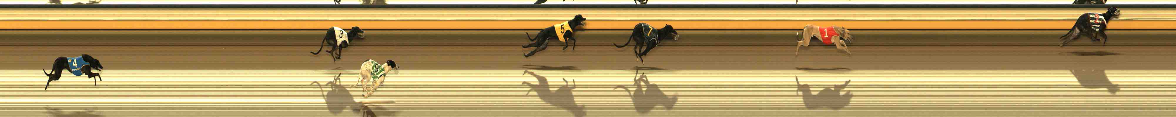 Photo finish for Warrnambool Race 2