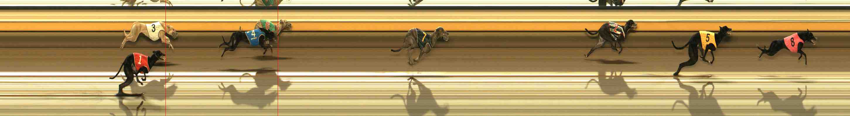 Photo finish for Warrnambool Race 3
