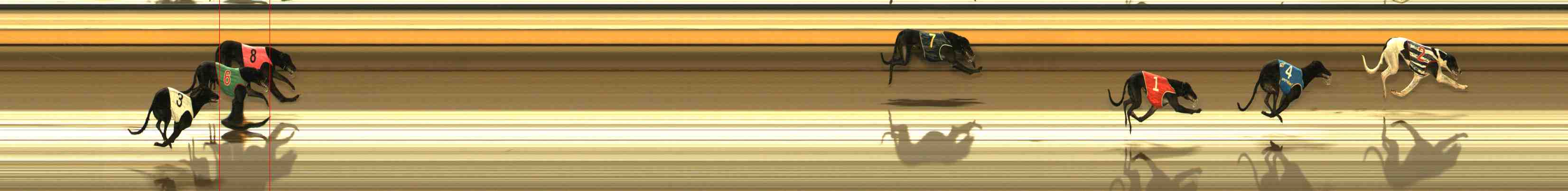Photo finish for Warrnambool Race 4
