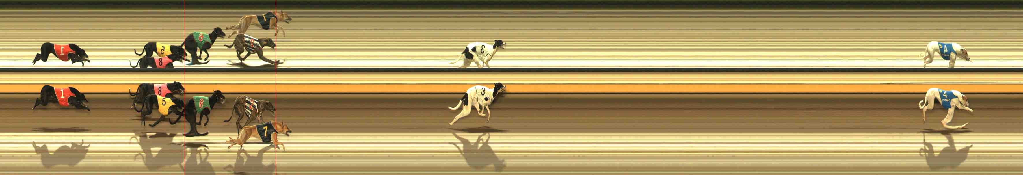 Photo finish for Warrnambool Race 5