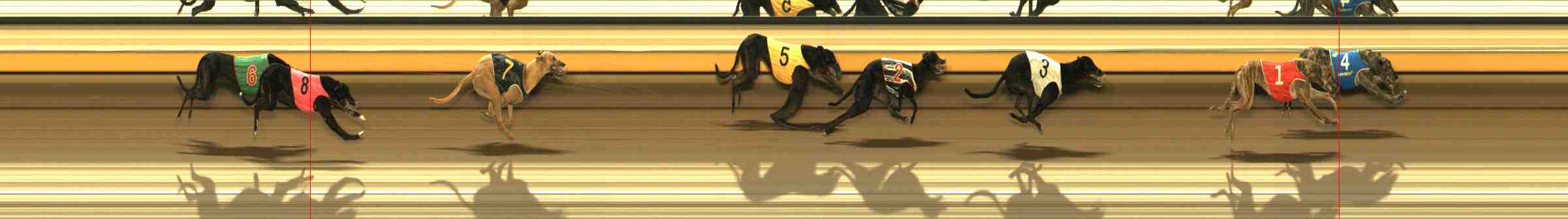 Photo finish for Warrnambool Race 6